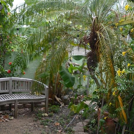 Palmetto Guesthouse Isla Culebra Exterior photo
